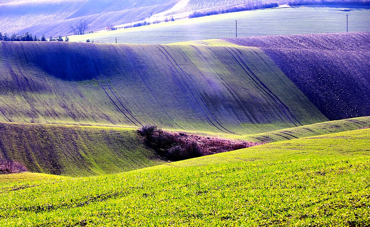FOTO DNE 5.4.: Dagmar Vargová - Vlny