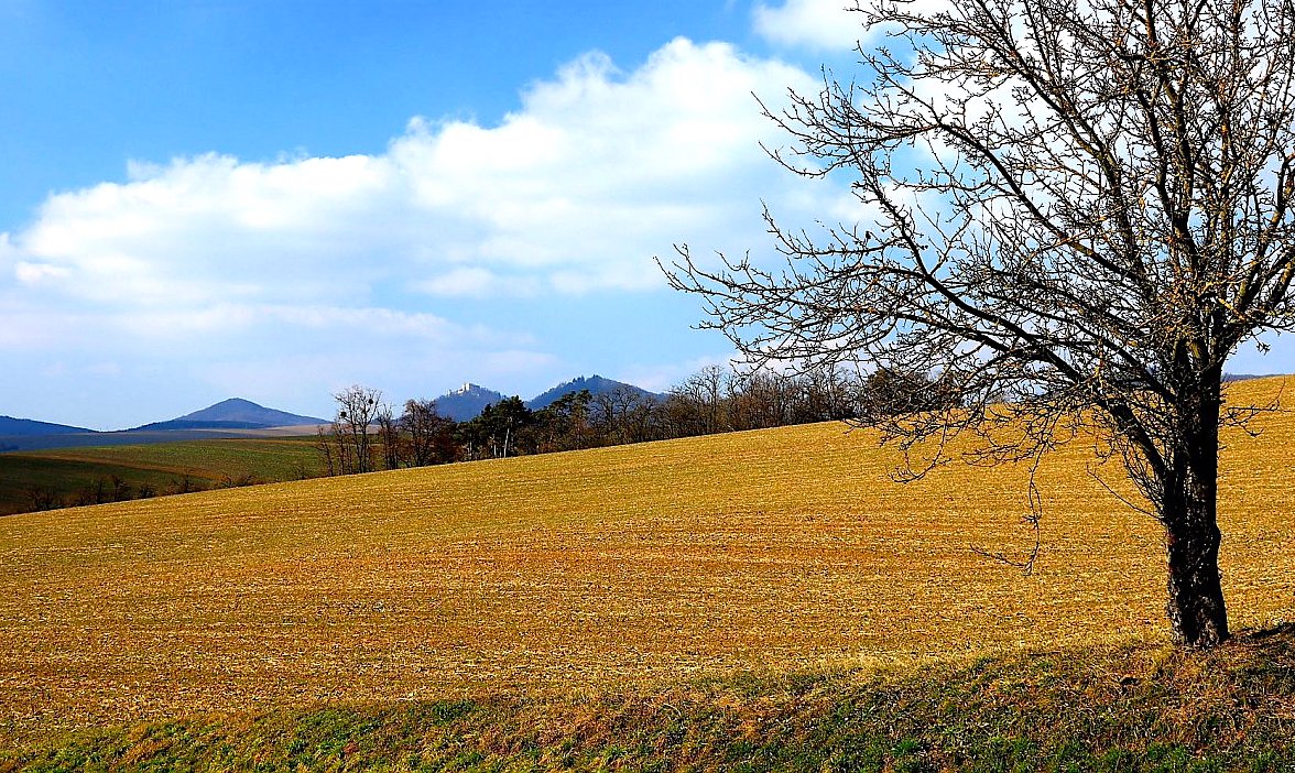 FOTO DNE 23.2.: Dagmar Vargová - Únorová krajina s Buchlovem