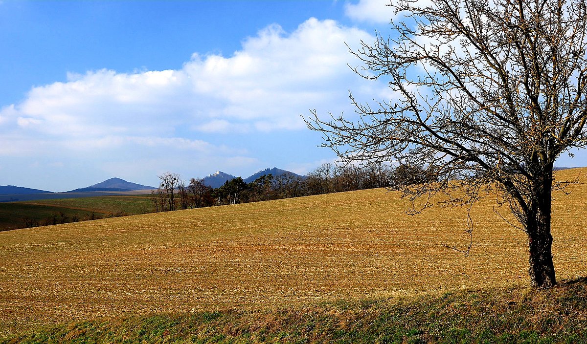 Únorová krajina s Buchlovem