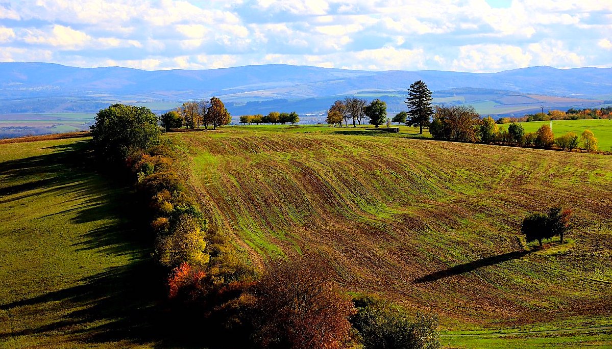 FOTO DNE 13.10.: Dagmar Vargová - Podzimní vlny