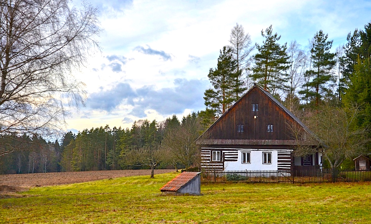 FOTO DNE 26.11.: Libuše Hvězdová - U lesa