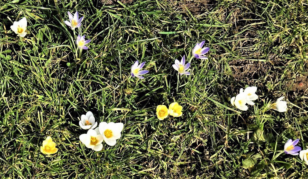 Jaro na Vltavské