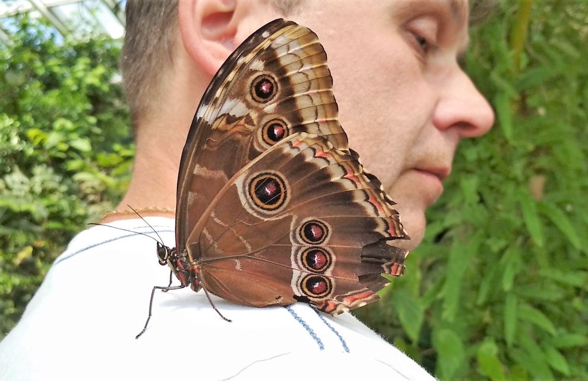 Botanickou zahradou s motýlem na rameni