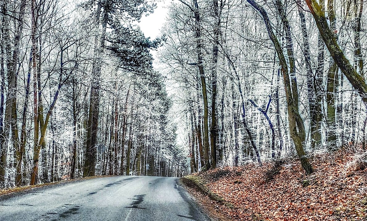 FOTO DNE 3.2.: Dana Puchalská - Cestou na výlet