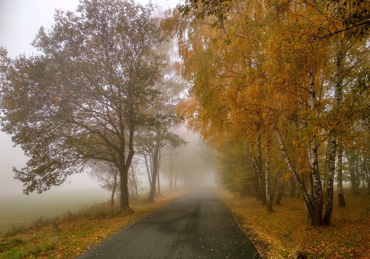 Lubomír Měkota - Zamlženým podzimem.jpg