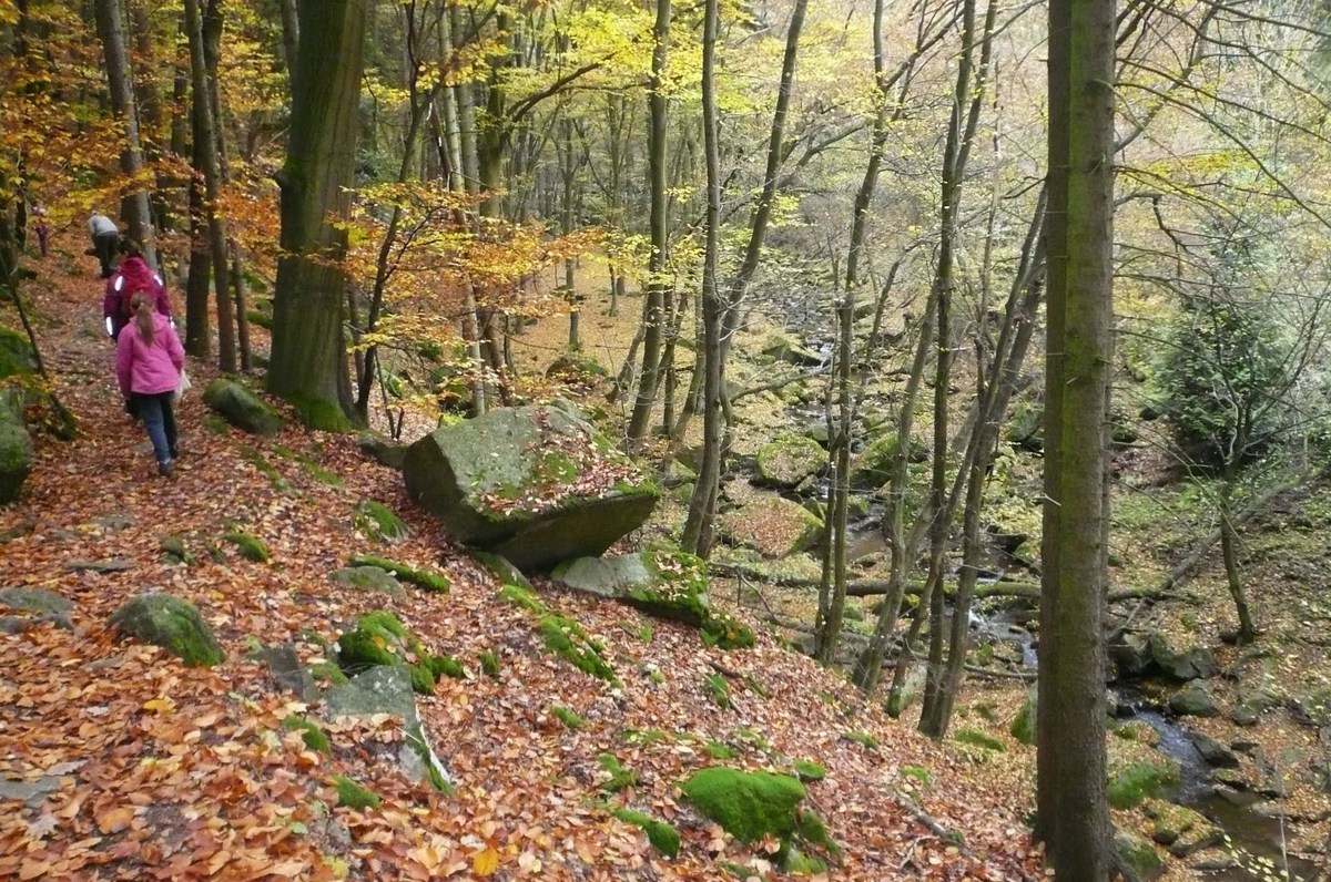 Podzim v Údolí Šembery