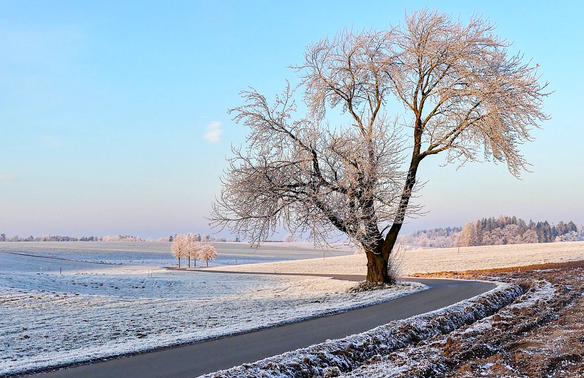 FOTO DNE 27.1.: Libuše Heulerová - Esíčko