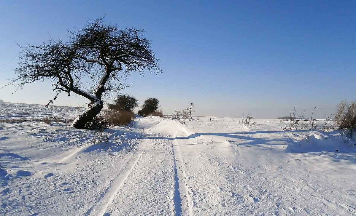 Dobojováno: Známe všechny vítěze fotosoutěže na téma "Obrázky zimy"