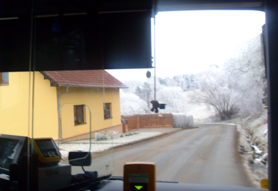 Pohádková lednová krajinka přes okna autobusu