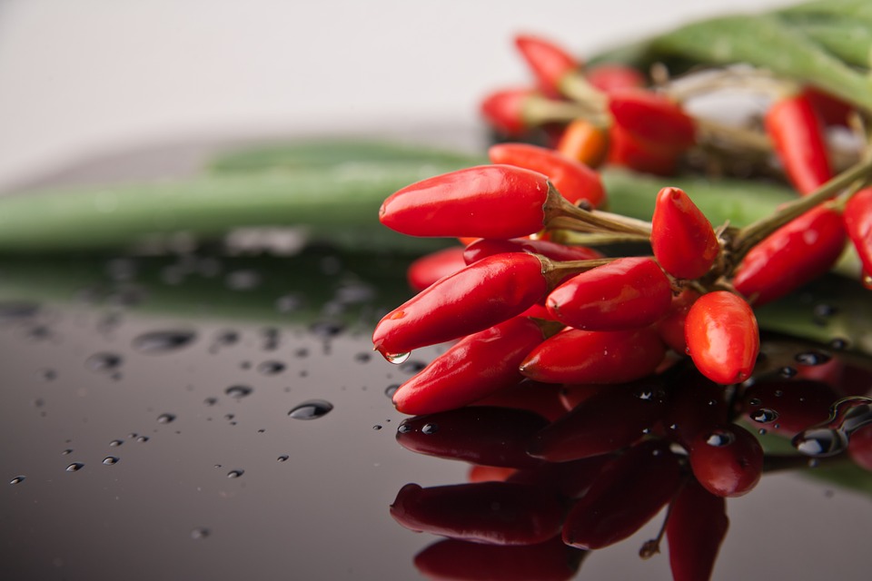 Chilli papričky snižují cholesterol i zlepšují náladu. Jak si je vypěstovat?