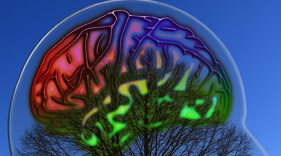 Čeští vědci mají klíč k časné
diagnóze Alzheimera
