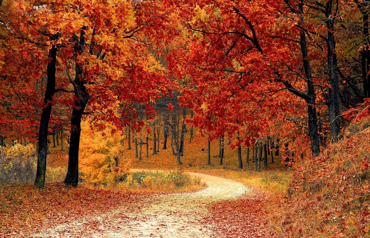 Pět nejkrásnějších túr na podzim
