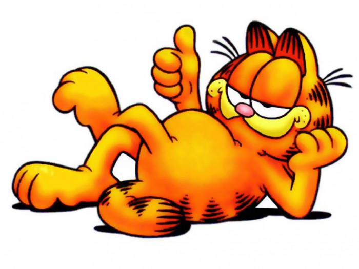 Drzý, tlustý a neustále
hladový kocour Garfield