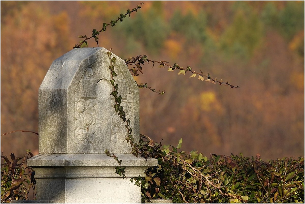 Téma dne: Hroby, hřbitovy