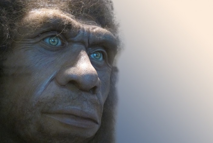 Neandertálci vymřeli
dřív, než se soudilo