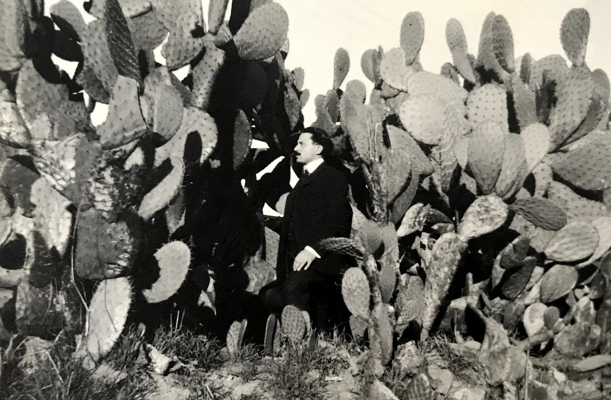 kaktusy, jedna z velkých vědeckých vášní.jpg