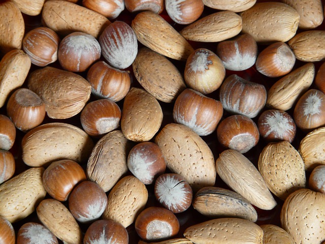 Jak je to s ořechy? Kdy 
je jíst a které tělu škodí? 