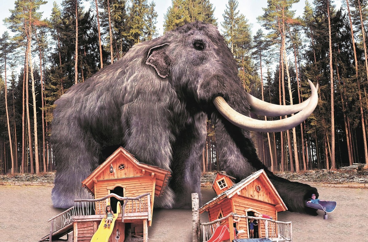 Největší mamut „žije“ v Česku, na Dolní Moravě
