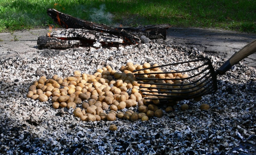 Čas bramborových natí