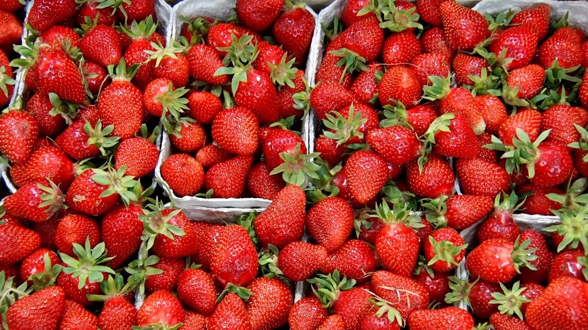 strawberries-2340228_1280.jpg