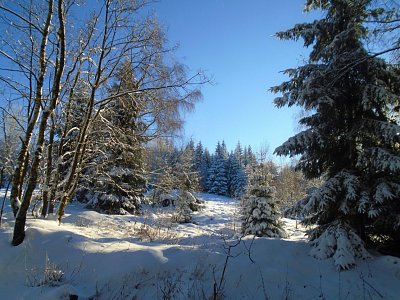 Krása zimy v Maliníku.