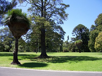 V Botanické zahradě v Melbourne