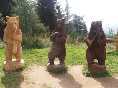 Medvědi -muzikanti