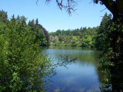 Průhonice - zadní rybník