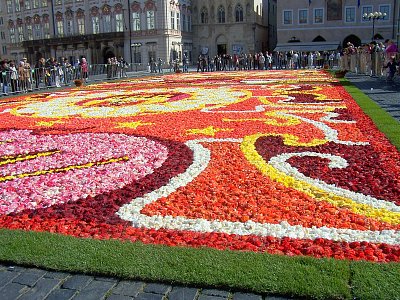 Květinová výzdoba na Staroměstském náměstí *