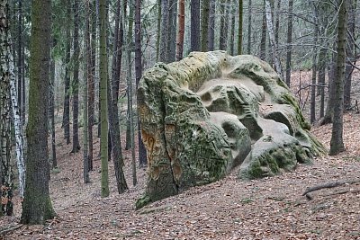 12 Čertův kámen v nedalekém lese