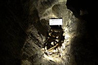 Nalezené kosti -  medvěd jeskynní