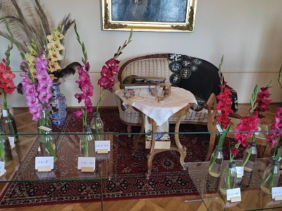 výstava květin na zámku