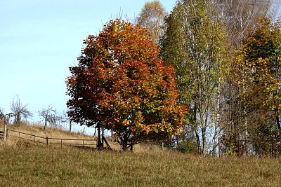 Podzim ve Starých Hamrech