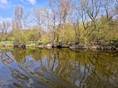 20250412-140145.jpg