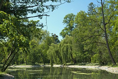 24 - Divoký rybník