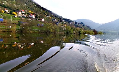 245-1219.jpg