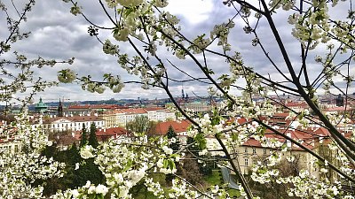 Včerejší “bílá” sobota v Praze