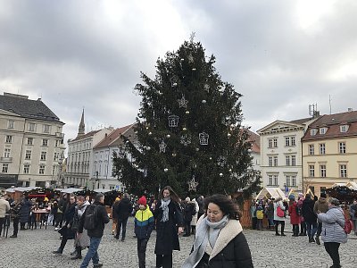 Foto ze startu