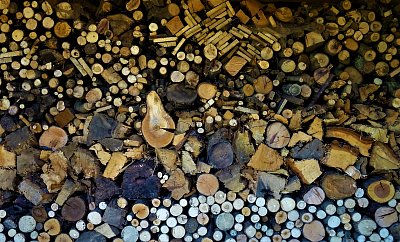 Dřevěná mozaika