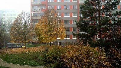 Pozdně podzimní pohled z okna v přízemí