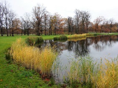 Jezero v barvách podzimu