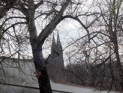 Výhled na věže Vyšehradu z Botanické zahrady Na Slupi