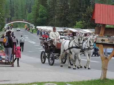 Račte se projet po Tatranské Lomnici