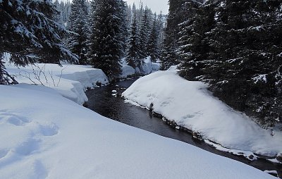 Modravský potok v zimě