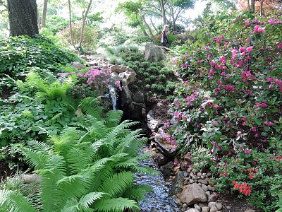V Japonské zahradě