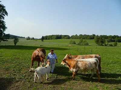 Libuše Vojteková