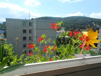 Balkon a zahrada