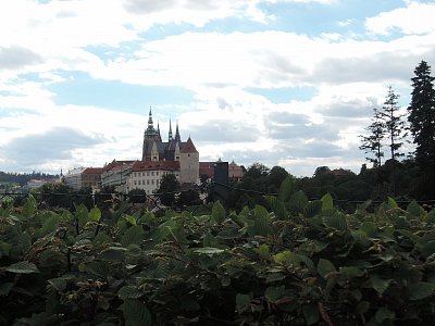 Pohled na Pražský hrad ze zahrad Kramářovy vily
