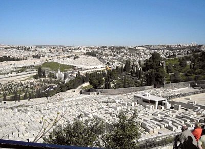 rozsáhlé hřbitovy na svazích Olivetské hory