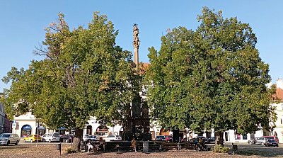 Mírové náměstí, Litoměřice